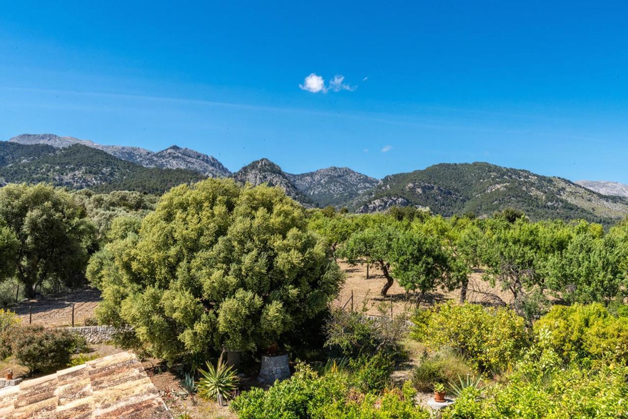 Finca Son Arnau Selva  Eksteriør bilde